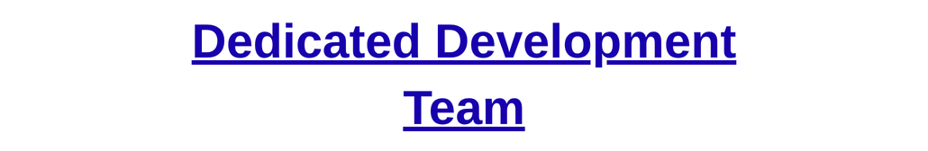 Dedicated Development Team